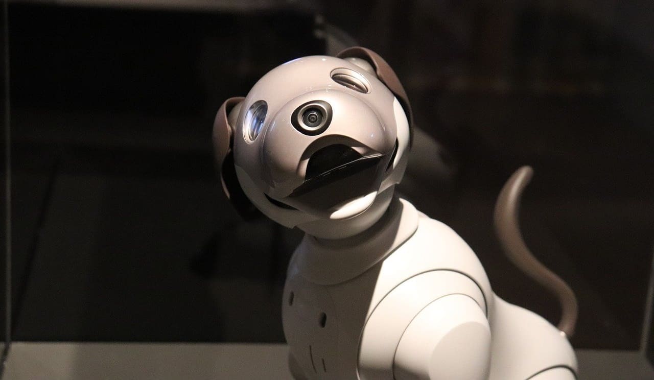 Aibo-Roboterhund-digitale-Persoenlichkeit-robotic-dog-SONY-Kritisches-Netzwerk-Abo-Modell-Tiermaschine-Tierersatz-Internet-der-Dinge-Beruehrungssensoren