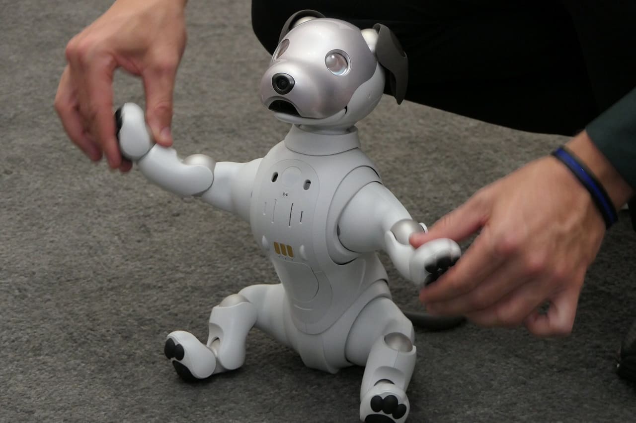 Aibo-Roboterhund-Japan-robotic-dog-SONY-Kritisches-Netzwerk-Roboter-Hund-Gassigehen-Digitalspielzeug-Smart-Home-Technologie-Ueberwachungskapitalismus