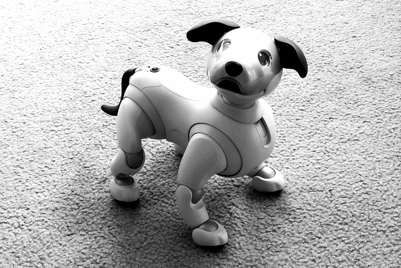 Aibo-Roboterhund-SONY-robotic-dog-Japan-Kritisches-Netzwerk-Tierersatz-Vereinsamung-Technikabhaengigkeit-Ueberwachungsgueter-Kuenstliche-Intelligenz