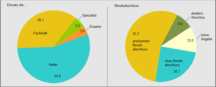 Anteile-von-Leiharbeitsbeschaeftigte-Einsatzniveau-Qualifikationsniveau-Leiharbeitnehmer-Verleihbetriebe-Kritisches-Netzwerk-Fachkraft-Berufsabschluss-Lohndumping-Leiharbeit