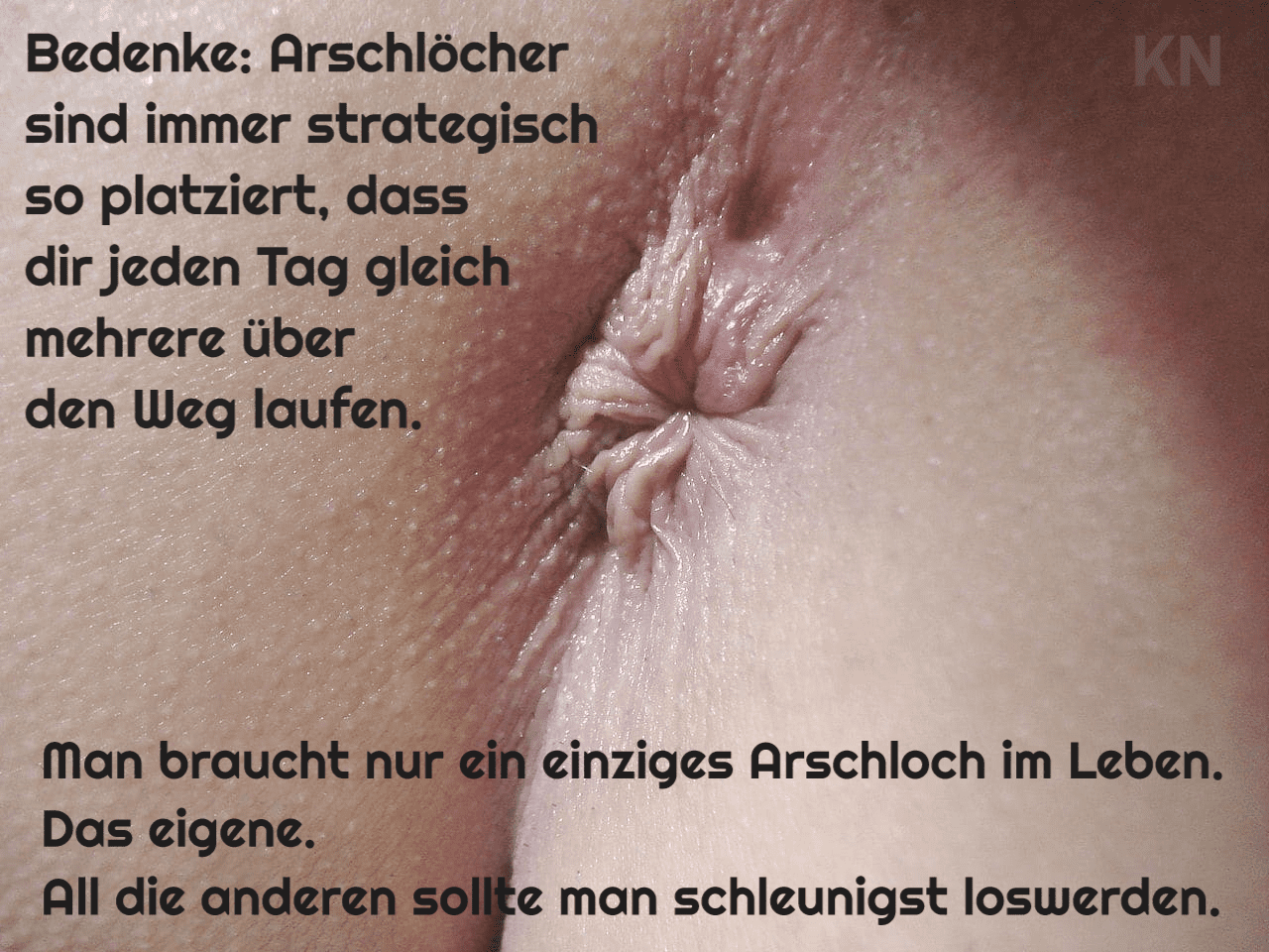 Anus_Popoloch_Arschloch_After_Hintern_Arschloecher_Idioten_Vollpfosten_Vollidioten_Kritisches-Netzwerk