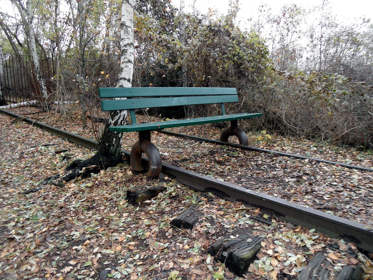 Bahnstreckenstilllegung-Streckenstilllegungen-Bahnverkehr-Gleisanschluesse-Netzlaenge-Kritisches-Netzwerk-Bahnhofsstilllegung-Stilllegung-Endstation-Neoliberalismus