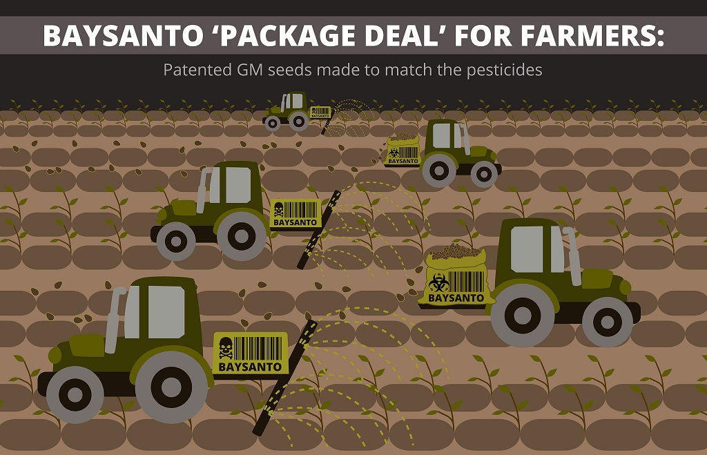 baysanto_package_deal_for_farmers_patented_gm_seeds_pesticides_gentechnik_genmanipiliertes_saatgut_pestizide_bayer_monsanto_kritisches_netzwerk_agrikulturchemie_agrochemie.jpg