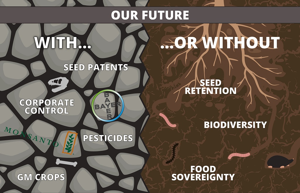 baysanto_seed_patents_corporate_control_bayer_monsanto_pesticides_biodiversity_food_souvereignity_kritisches_netzwerk_agrarchemie_breitbandherbizide_roundup_herbizide.jpg