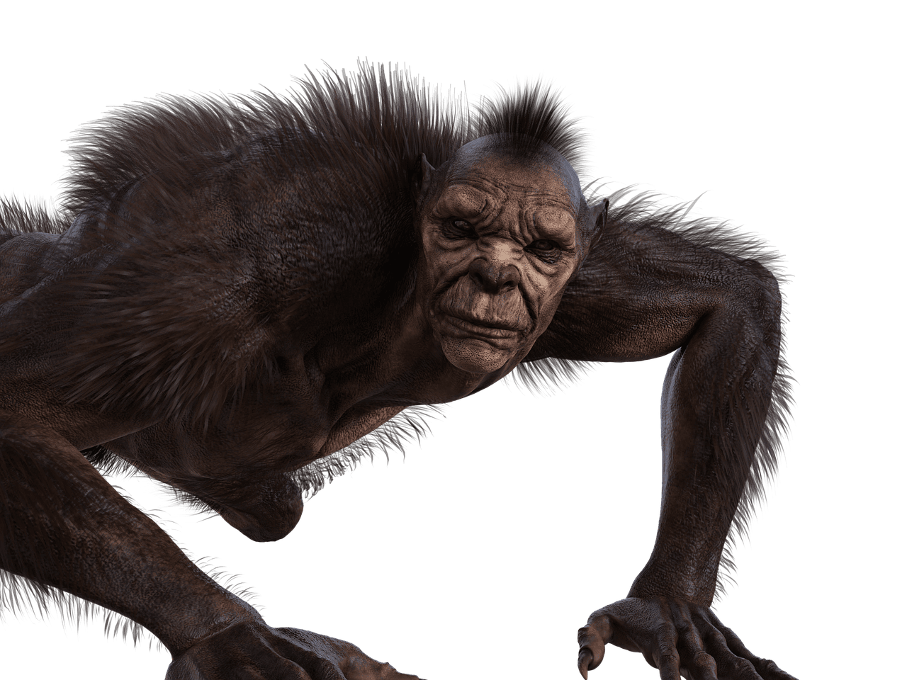 Bestie_Bestialisch_humanoides_Monster_Werwolf_Teufelspakt_Opportunismus_Opportunisten_opportunistisches_Verhalten_Rueckgratamputierte_Rueckgratlose_Kritisches-Netzwerk