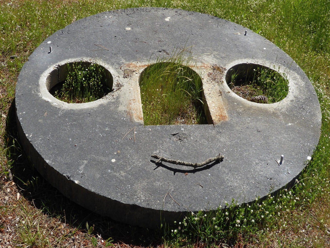 Betongesicht_Betongesichter_Ausdruckslosigkeit_Dickkopf_Dickschaedel_Starrkoepfigkeit_Opportunist_Politdarsteller_Politganoven_Politgesindel_Politikergesindel_Politschergen_Kritisches-Netzwerk