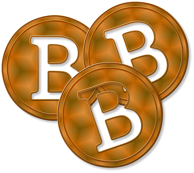 bitcoin_bitcoins_kryptogeld_kryptowaehrung_parallelwaehrung_kritisches_netzwerk_waehrungssystem_alternatives_zahlungsmittel_bits_bytes_ersatzgeld_zahlungsmittel_zahlungsverkehr.png