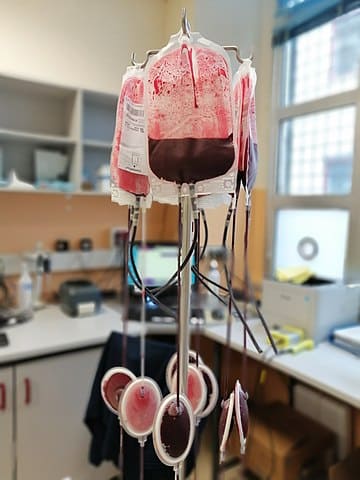 Blutbeutel_Bluttransfusionen_Blutkontamination_Blutkontaminierung_Blutspende_Blutspendenbereitschaft_Blutkonserven_Fremdblut_genetisches_Massenexperiment_Kritisches-Netzwerk