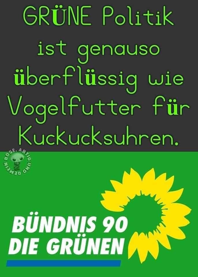 Buendnisgruene-Energienotstand-Energiepreise-Energiekosten-Stromkosten-Gasnotstand-Verbotspartei-Kriegspartei-Baerbock-Habeck-Kritisches-Netzwerk-Heizkostenexplosion