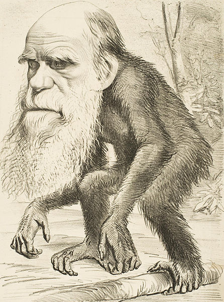 charles_darwin_menschenaffe_evolution_evolutionstheorie_darwinismus_natuerliche_auslese_selektionsprinzip_kritisches_netzwerk_on_the_origin_of_species_the_hornet_orang-utan_outang.jpg