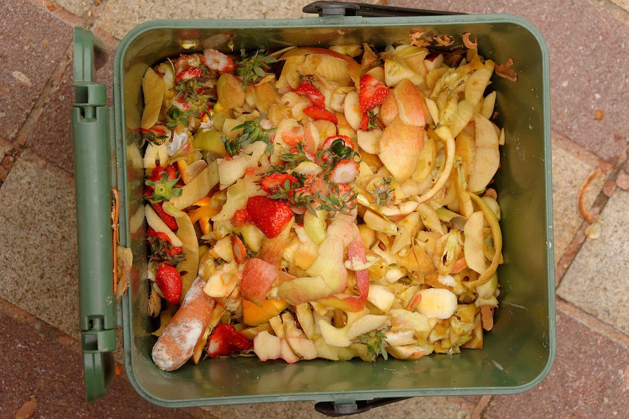 Containern-Abfallcontainer-Anti-Wegwerf-Gesetz-Antiwegwerfgesetz-Dumpster-Diving-Kritisches-Netzwerk-Essensreste-fairTEILBAR-Foodsharing-Foodwaste-glanage-alimentaire