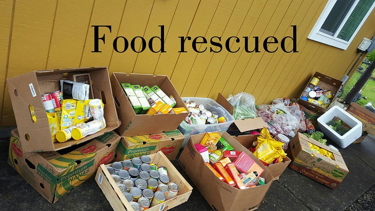 Containern-Food-Rescued-Lebensmittelretten-Lebensmittelretter-Nahrungsmittel-Mindesthaltbarkeitsdatum-Verbrauchsdatum-Kritisches-Netzwerk-fairTEILBAR-Wegwerfverbot