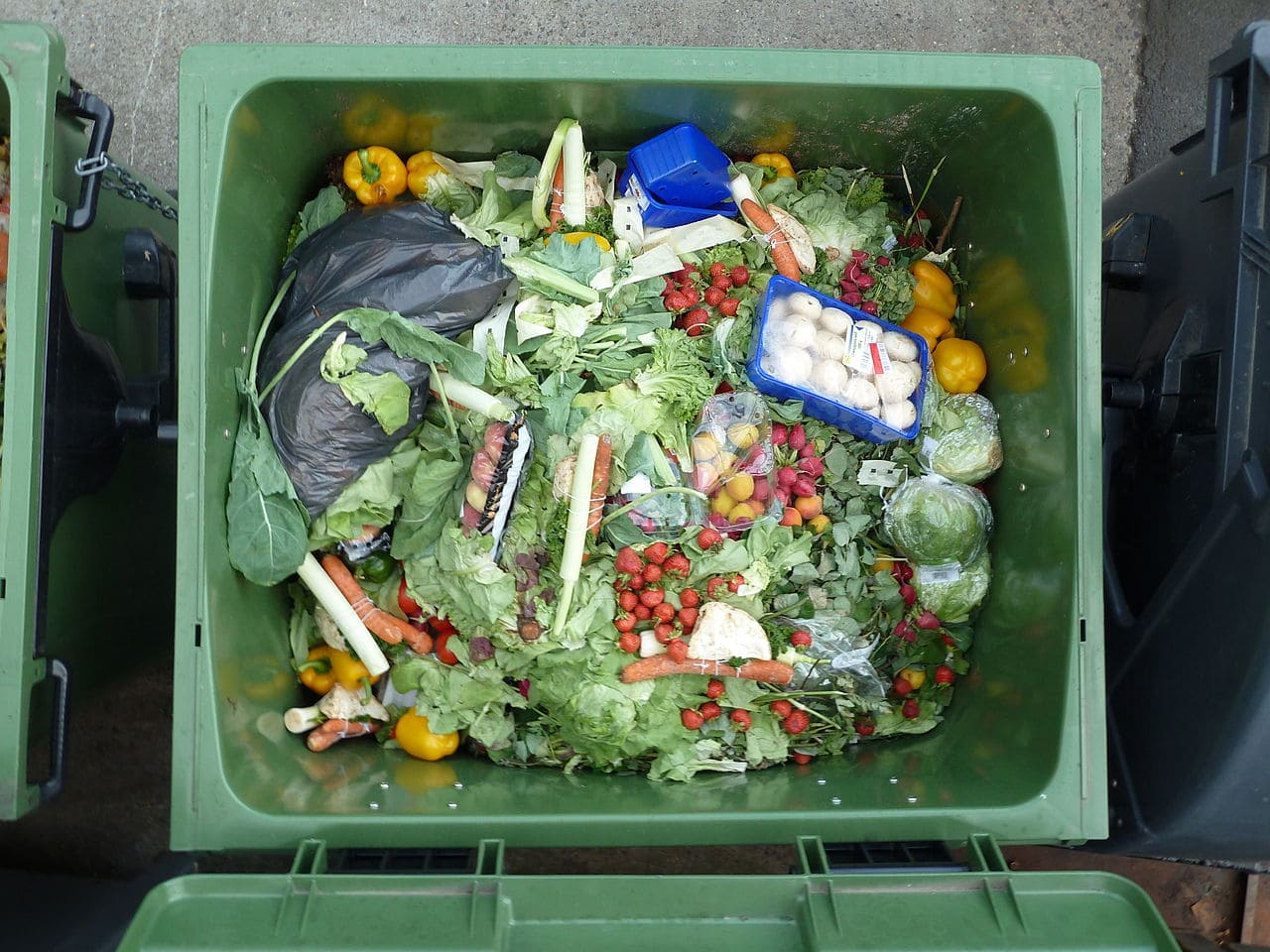 Containern-Foodwaste-garbage-glanage-alimentaire-Wegwerfgesellschaft-Kritisches-Netzwerk-Ueberflussgesellschaft-Wohlstandsgesellschaft-Wohlstandsmuell-Dereliktion