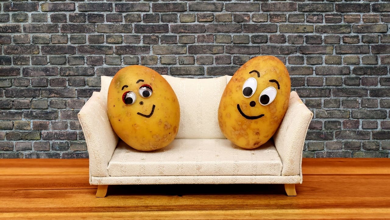 Couch-Potatoes-Potatoe-Couchpotato-Rueckzug-Eigeninitiative-Sofa-Bequemlichkeit-Faulheit-Gleichgueltigkeit-Ueberforderung-Kritisches-Netzwerk-Kartoffel-Stubenhocker-Faulenzer