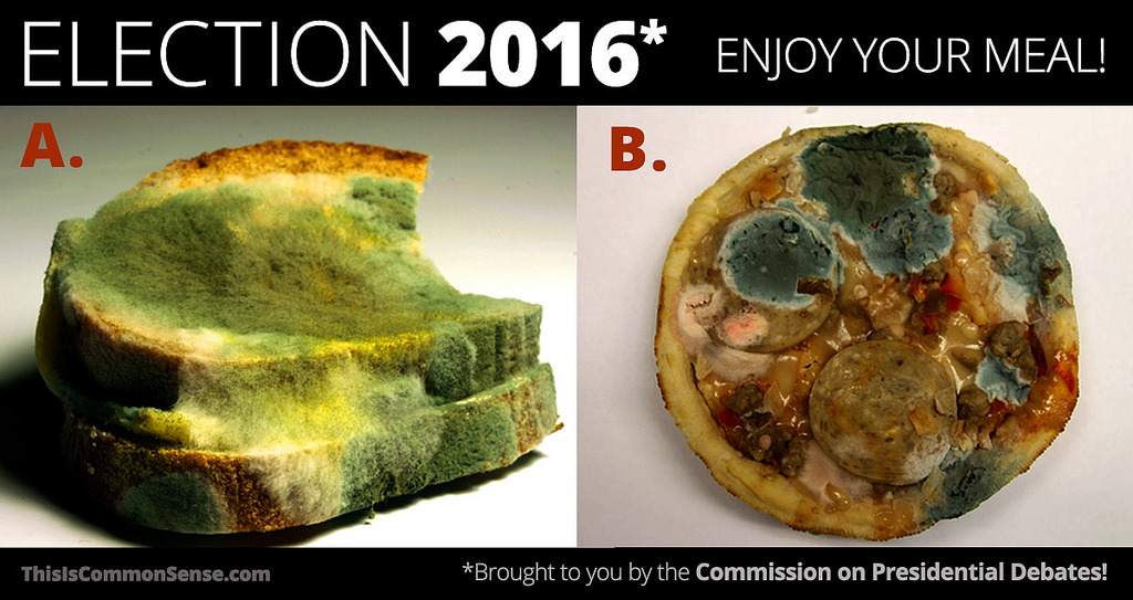 election_2016_molded_bread_mouldy_stale_scruffy_pizza_pest_cholera_donald_trump_hillary_clinton_kritisches_netzwerk_make_america_great_again_demokratie_democracy.jpg