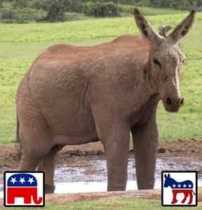 elefantenesel_elephant_donkey_demopublican_demopublicans_republicrat_republicrats_usa_kritisches_netzwerk_republican_democratic_party_republicans_republikaner_democrats.jpg