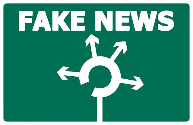 Fake_News_Falschmeldung_Kreisverkehr_Massenkonditionierung_Massentaeuschung_Massenverkasperungen_Massenverarschung_Konzernmedien_Kritisches-Netzwerk