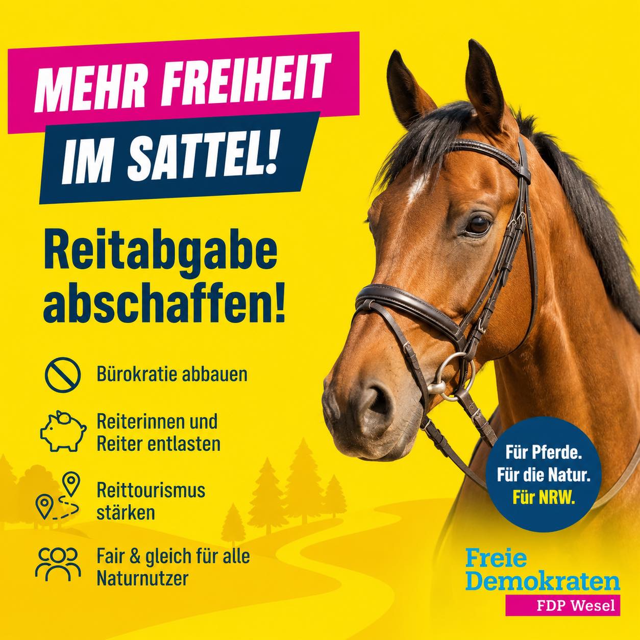 FDP_NRW_Reitabgabe_Plakettenpflicht_abschaffen_Verwaltungsaufwand_Reitplaketten_Reitplakettenpflicht_Reitroutennetz_Reittouristen_Reittourismus_Hobbyhorsing_Kritisches-Netzwerk