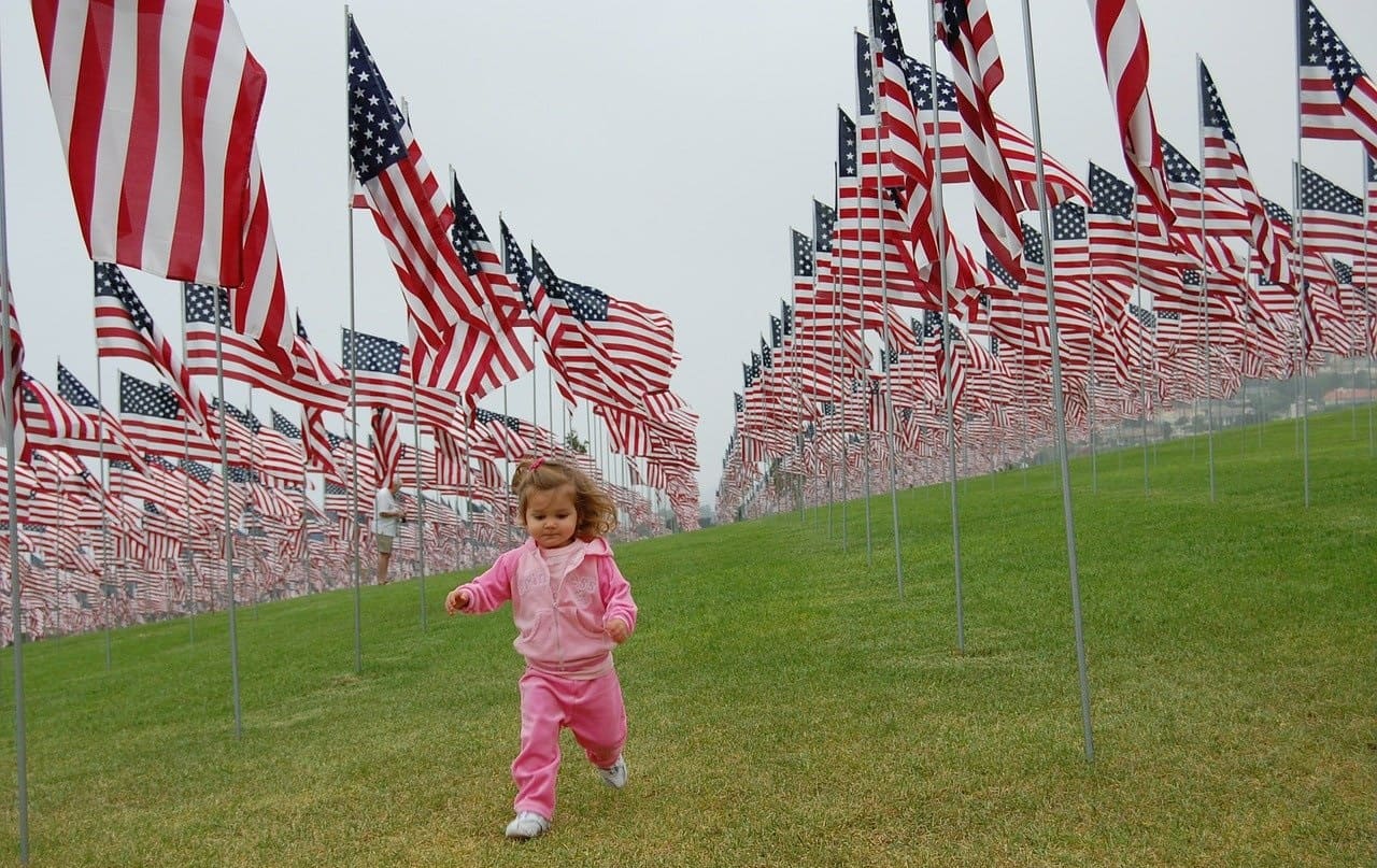 Flagge-der-Vereinigten-Staaten-Field-of-US-Flags-National-Mall-Washington-DC-Sternenbanner-Star-Spangled-Banner-Stars-and-Stripes-Kritisches-Netzwerk-Pseudodemokratie