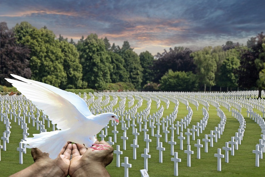 friedenstaube_soldatenfriedhof_peace_dove_military_soldier_war_cemetery_kritisches_netzwerk_bundeswehr_auslandseinsaetze_militarisierung_soldatentod_nato_wehrdienst_wehrpflicht.jpg