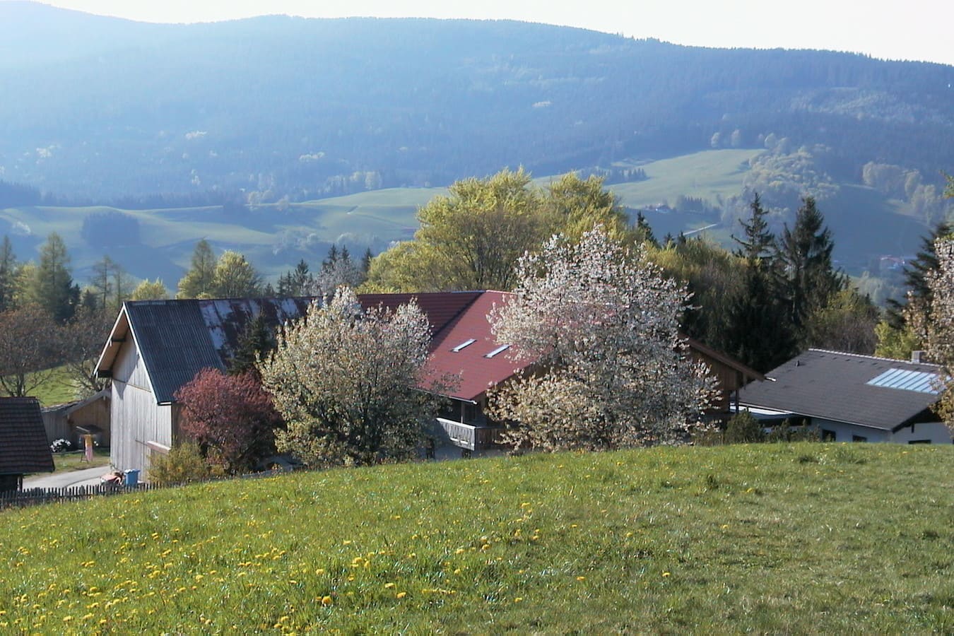 Fuermannalm_Gertraud_Angerpointner_Georg_Schorsch_Planthaler_Kritisches_Netzwerk_baeuerliche_extensive_Landwirtschaft_Oekolandbau_Irlberg_Anger_oekologischer_Anbau