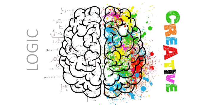 Gehirn-linke-rechte-Gehirnhaelfte-Logik-Verstand-Sprache-Poesie-Kultur-Gefuehlsleben-Polung-Gehirnhaelften-Kritisches-Netzwerk-Geist-Psychologie-Verstand-Horizont