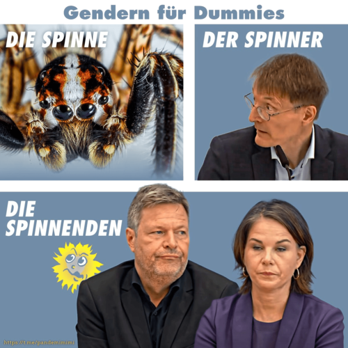 Genderspinne_Spinner_Robert_Habeck_Annalena_Baerbock_Buendnisgruene_Karl_Lauterbach_Volksschaedlinge_Inkompetenz_Realitaetsverlust_Kompetenzmangel_Kritisches-Netzwerk_2