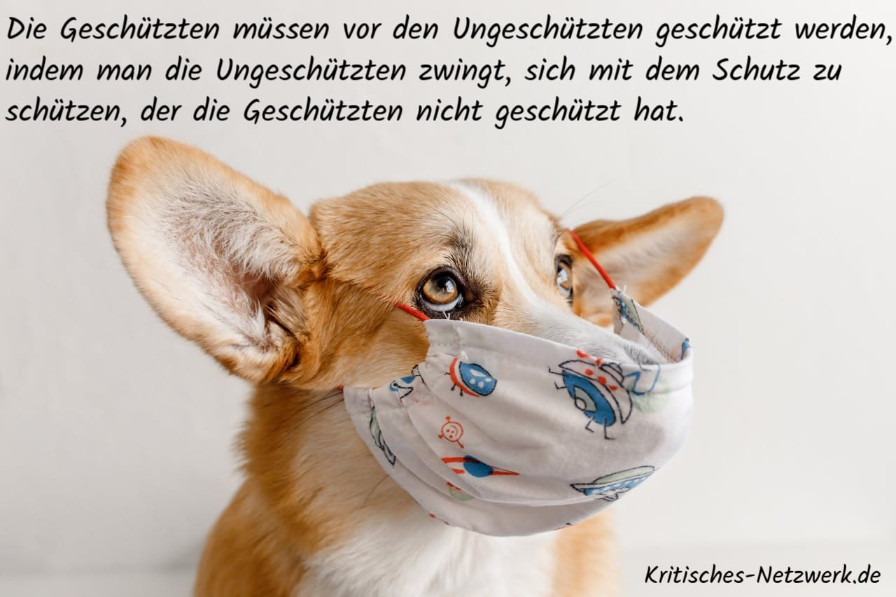 Hund-Hundemaske-Corgi-Maul-Nasen-Maske-Maskenpflicht-Maskenterror-Maskenwahn-Maskenzwang-Mundschutz-Seuchenlappen-Seuchenmaske-Stoffmaske-Gesichtswickel-Kritisches-Netzwerk