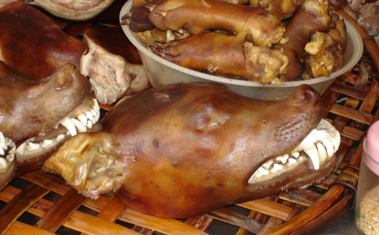 Hundefleisch-Speisehund-Dogheaven-Gourmet-Restaurant-Hundefleischrezepte-Hundespezialitaeten-Kritisches-Netzwerk-Vietnam-China-Thailand-Hundeteile