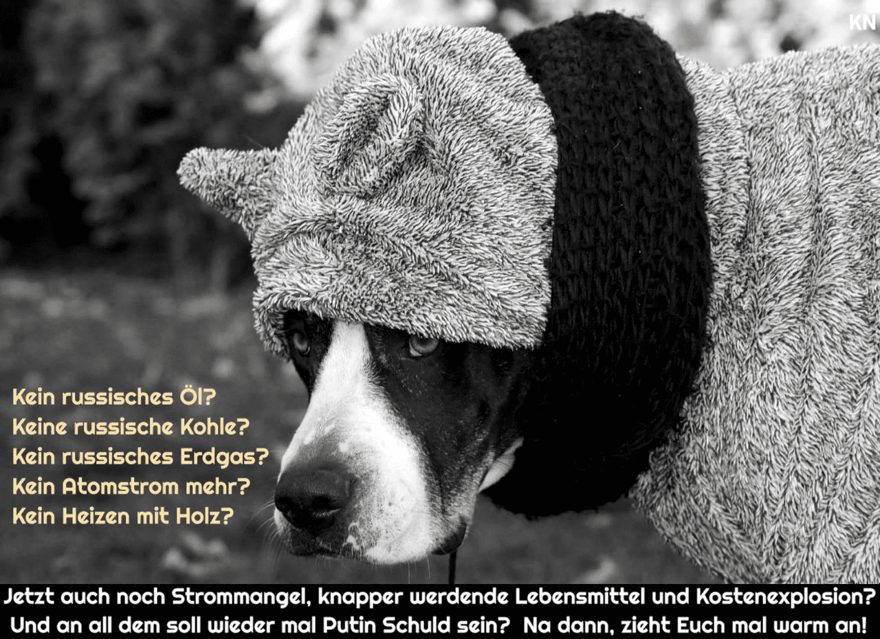 Hundekaelte_Gasmangel_Energienotstand_Energiepreise_Energiekosten_Stromkosten_Gasnotstand_Gasknappheit_Heizkostenexplosion_Kritisches-Netzwerk