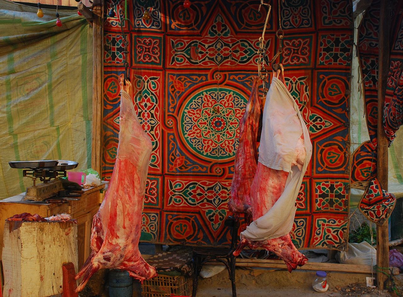 Islamisches-Opferfest-Eid-al-ul-Adha-Schaechten-Schaechtung-Schechita-Muslime-Kritisches-Netzwerk-Haddsch-Hadsch-Feast-Festival-of-Sacrifice-Tieropfer-Ausbluten-Radikalisierung