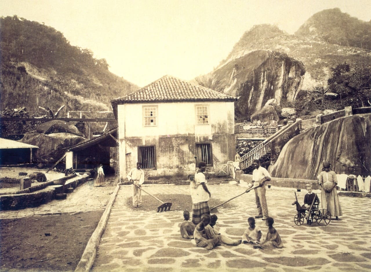 Kaffeeplantagen-Kaffeeplantagenkinder-Kinderarbeiter-Kinderarbeit-Kindersklaven-Kakaoplantagen-Kaffeepfluecker-Jabobs-Nestle-Kaffee-Kritisches-Netzwerk-Child-labour