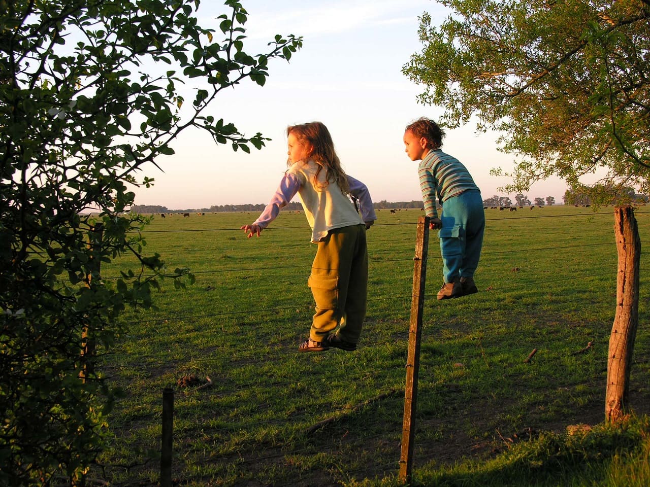 Kinder-Naturbewusstsein-Permakultur-Wie-wollen-wir-leben-Lebensbedingungen-Zukunftsgestaltung-Zukunftsperspektive-Kritisches-Netzwerk-nachhaltige-Lebensweise