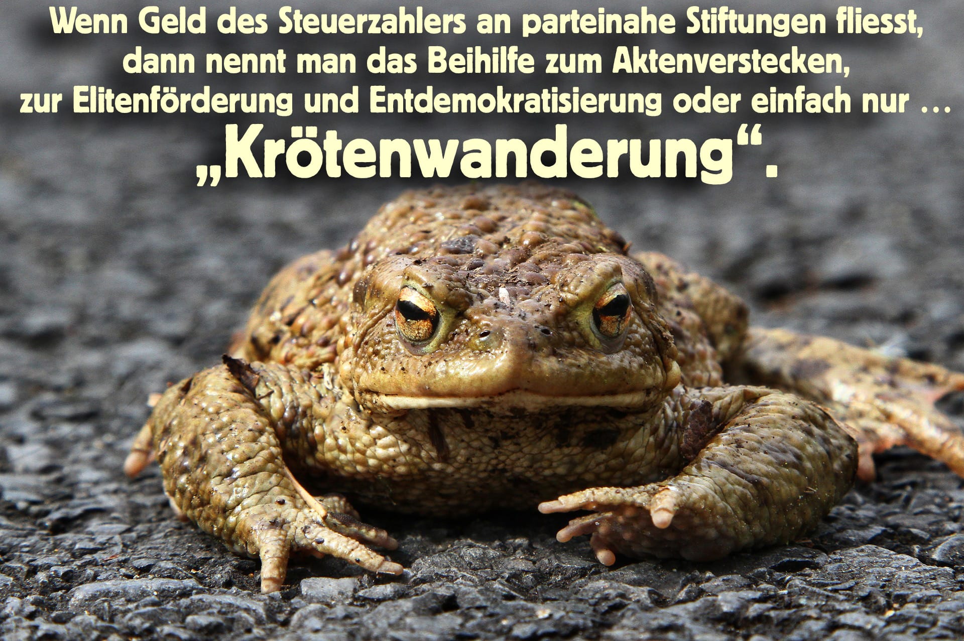 Kroetenwanderung-parteinahe-stiftungen-parteienstiftungen-elitenfoerderung-parteienfinanzierung-parteispenden-kritisches-netzwerk-parteisponsering-wahlkampfhilfe-wahlwerbung