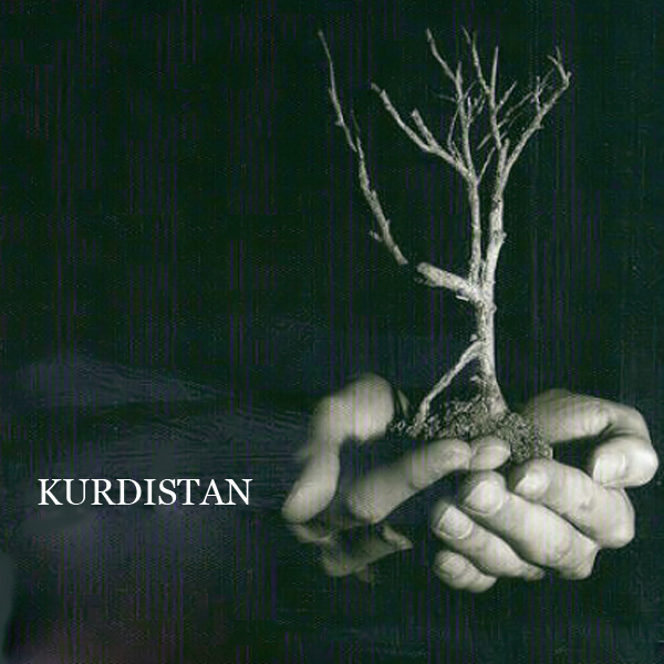 kurdistan_staatsgruendung_freiheitskampf_abdullah_oecalan_kritisches_netzwerk_demokratischer_konfoederalismus_autonomie_basisdemokratie_selbstverwaltung_pkk_selbstverwaltung.jpg