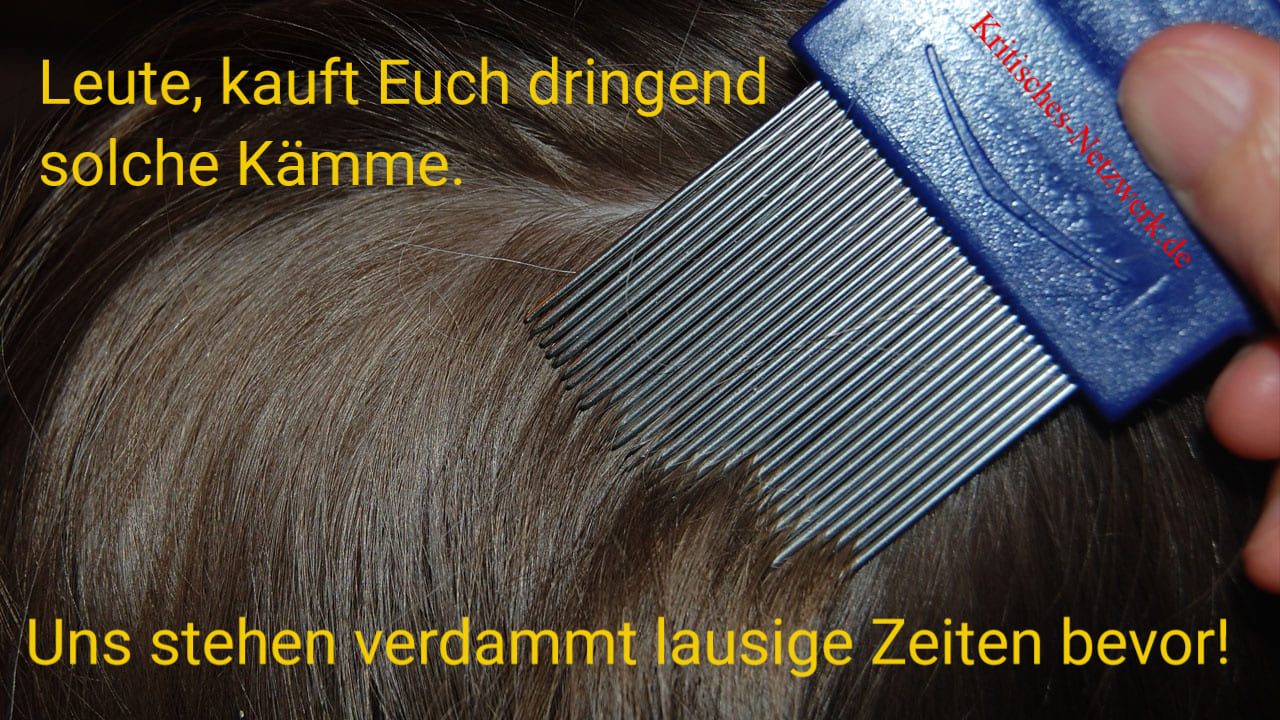 Laeusekamm-Kopflaeuse-Laeuse-lausige-Zeiten-Menschenlaeuse-Pedikulose-Kopflausbefall-Head-louse-Lice-comb-Kritisches-Netzwerk-Entlausung-Laeusebefall-Kaemme