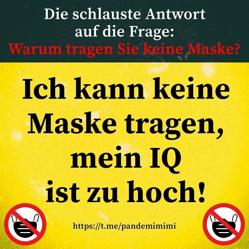 Maskenverweigerer_IQ_Intelligenzquotient_Maskenfetischismus_Maskenfetischist_Maskenhysterie_Maskenschaedlichkeit_Maskennarrativ_Andersdenkende_Kritisches-Netzwerk