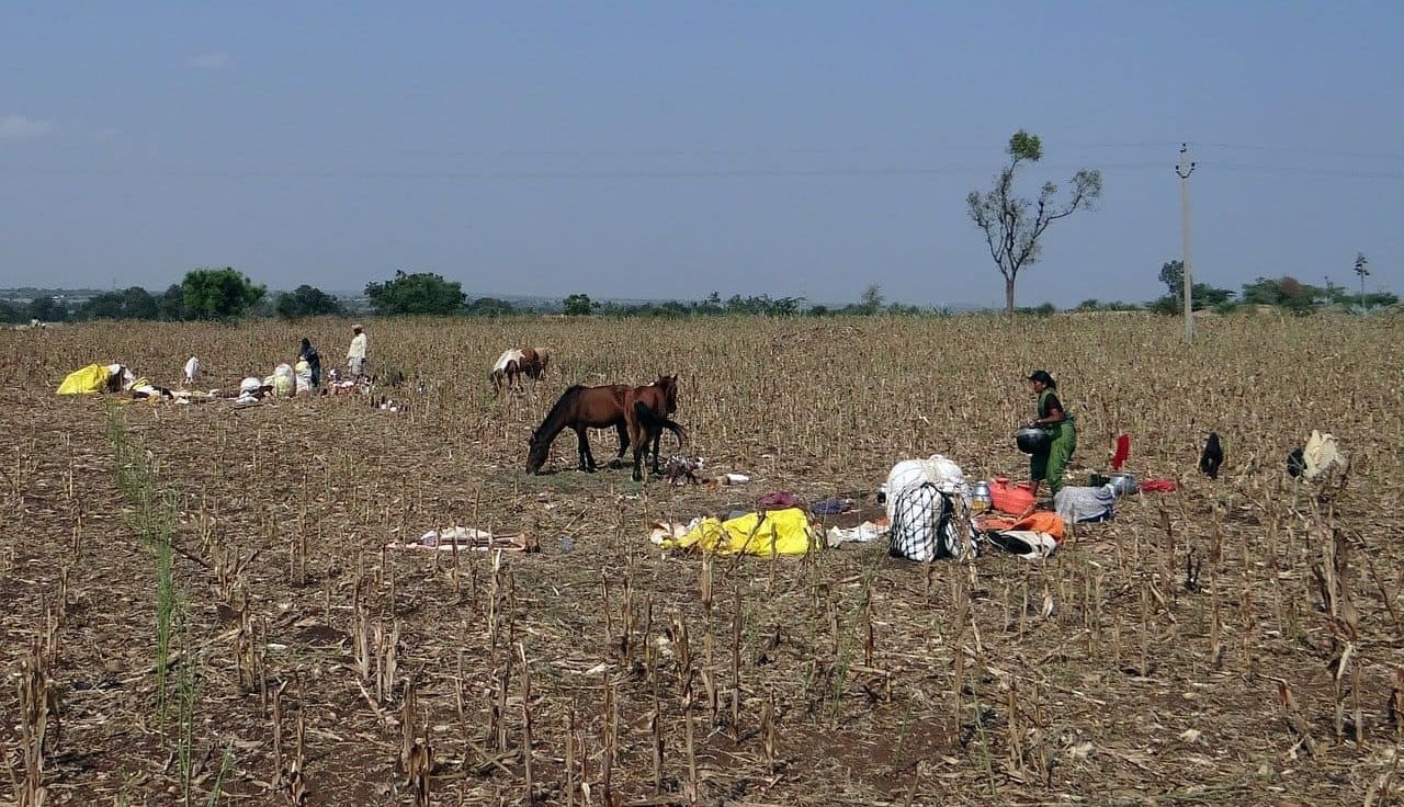 Nomaden-nomadische-Lebensweise-Ackerbau-Ackerarbeit-Landwirtschaft-Sammeln-Jagen-Kritisches-Netzwerk-landwirtschaftliche-Produktionsweise-Wanderfeldbau