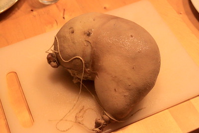 Pfaelzer_Saumagen_Helmut_Kohl_Altkanzler_Saumage_Saumaache_Schweinemagen_Schweinefleisch_Braet_Kritisches-Netzwerk