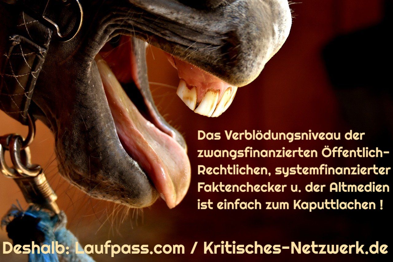 Pferd-Pferde-Pferdelachen-Pferdewiehern-Kaputtlachen-Entwurmungsmittel-Entwurmungspraeparate-Ivermectin-Kritisches-Netzwerk-Endoparasiten-Ektoparasiten-Corona-Covid