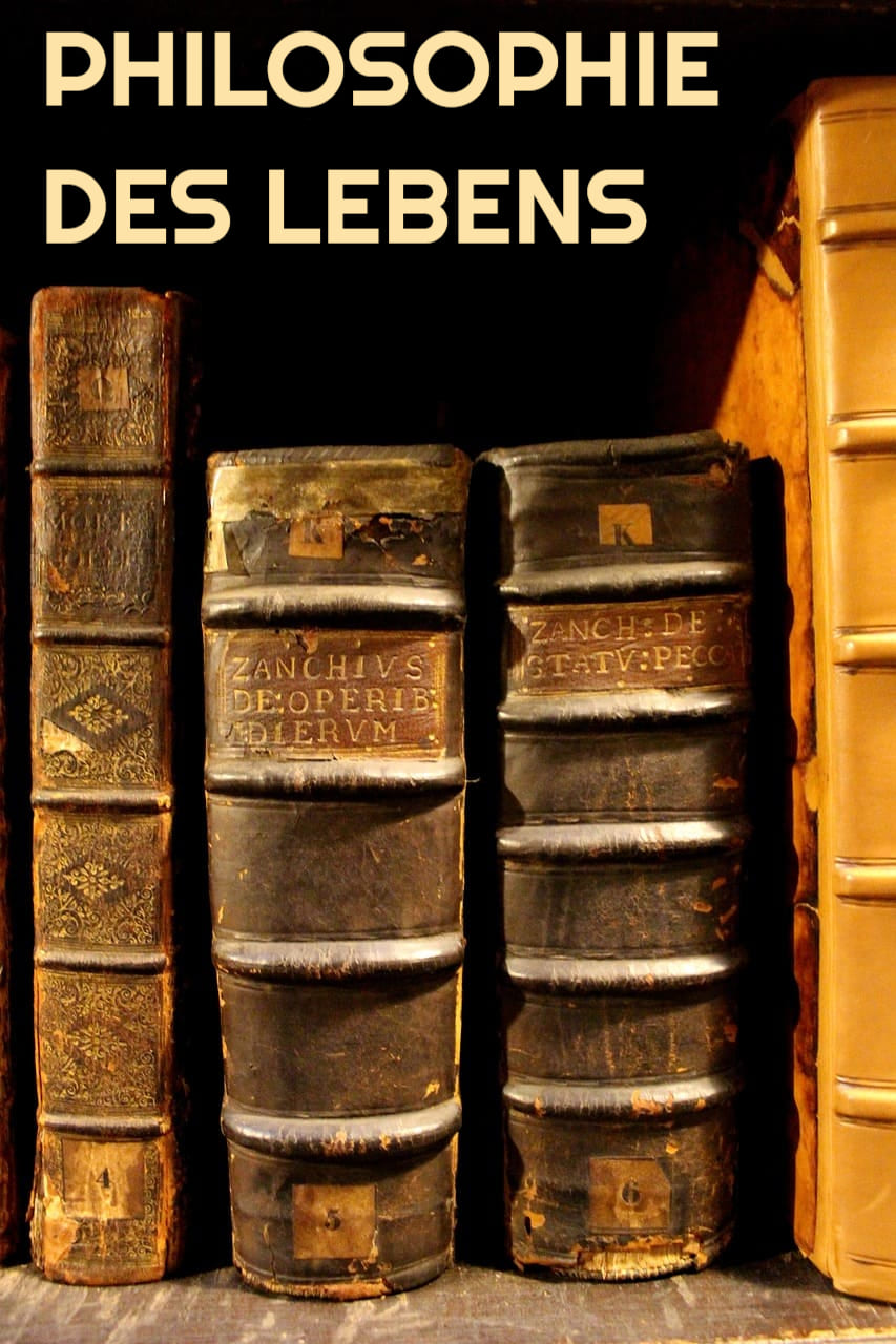 PHILOSOPHIE_DES_LEBENS_Psychologie_Bonhoeffer_Bukowski_Carl_Gustav_Jung_Dostojewski_Hermann_Hesse_Nietzsche_Platon_Schopenhauer_Spinoza_Tolstoi_Kritisches-Netzwerk