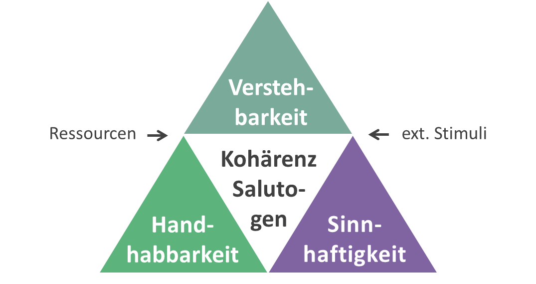 Salutogenese_Gesundwerdung_Gesundheit_Wohlbefinden_Kohaerenz_Handhabbarkeit_Sinnhaftigkeit_Verstehbarkeit_Aaron_Antonovsky_Pathogenese_Stimuli_Kritisches-Netzwerk