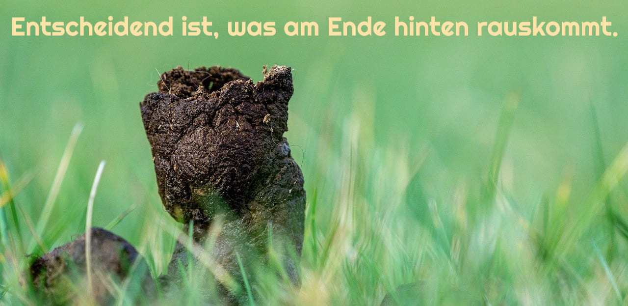 Scheisse-Scheisshaufen-Kot-Exkrement-Kothaufen-Ausscheidung-Faekalien-Entscheidend-ist-was am-Ende-hinten-rauskommt-Kritisches-Netzwerk-Stuhlgang-Defaekation