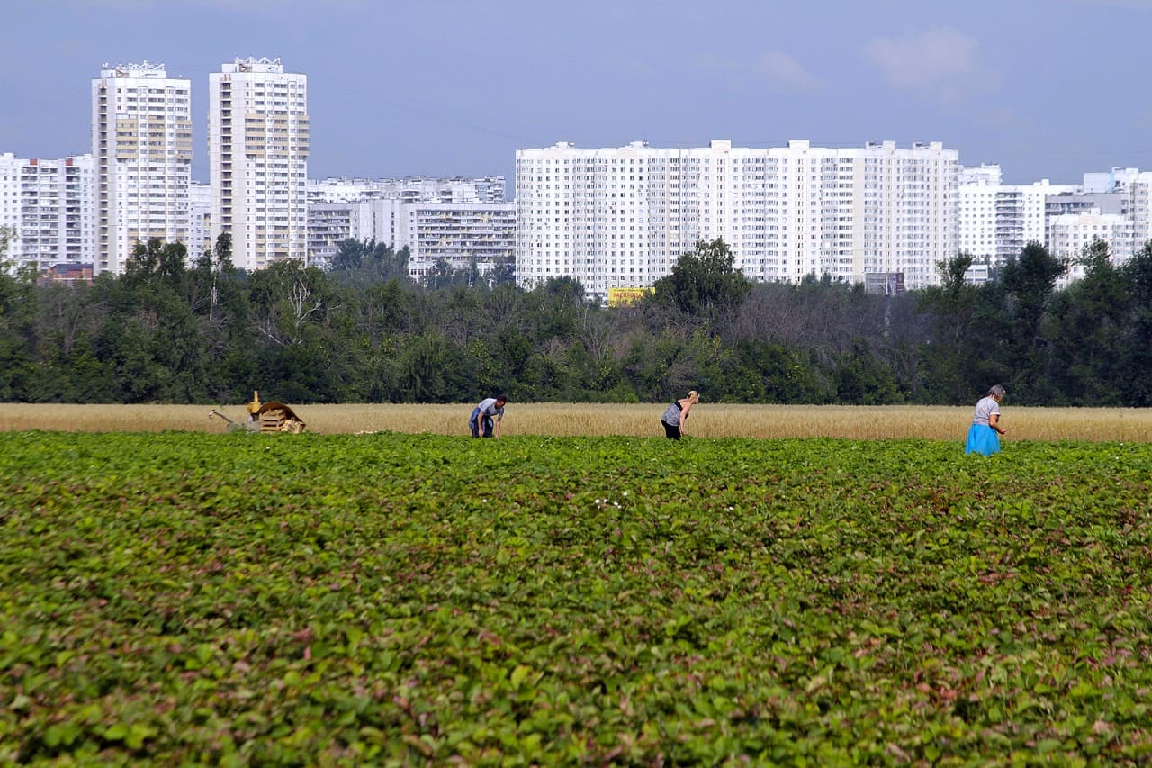 Sowchos-Sowchose-Lenin-Staatsbauernhof-AG-Sovkhoz-imeni-Lenina-sovetskoye-khozyaistvo-Kritisches-Netzwerk-Moskau-Pavel-Nikolayevich-Pawel-Nikolajewitsch-Grudinin