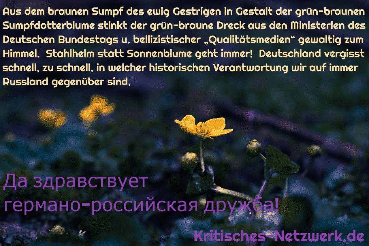 Sumpfdotterblume_Druschba_Russophilie_Aussoehnung_Freundschaft_Frieden_mit_Russland_kulturelles_Zusammenwachsen_Geschichtsvergessenheit_Kritisches-Netzwerk