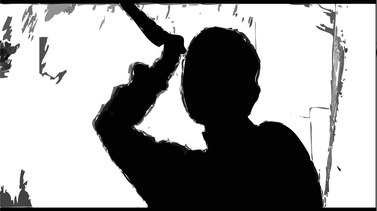 Dolchstiche gegen die Politik, Kritisches-Netzwerk,