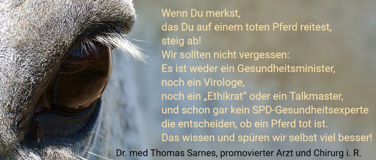 Thomas Sarnes - Wenn du merkst das du auf einem toten Pferd reitest steig ab