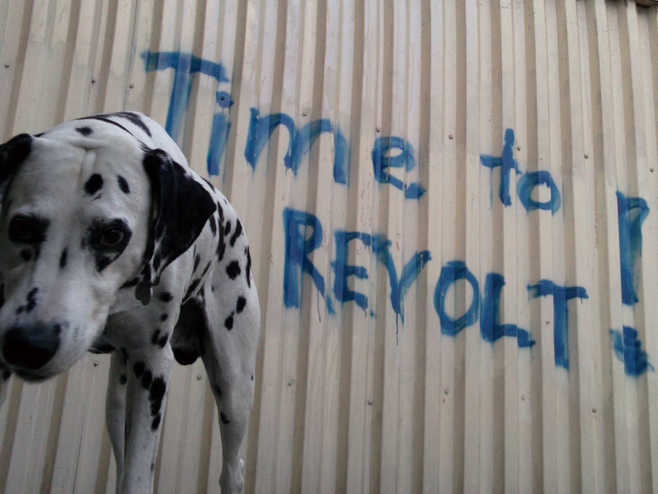 Time-to-Revolt-Aufstand-Rebellion-Widerstand-Ungehorsam-Kritisches-Netzwerk-Coronakrise-Impfapartheid-Impfpropaganda-Impfzwang-Zwangsimpfung-Nonkonformismus