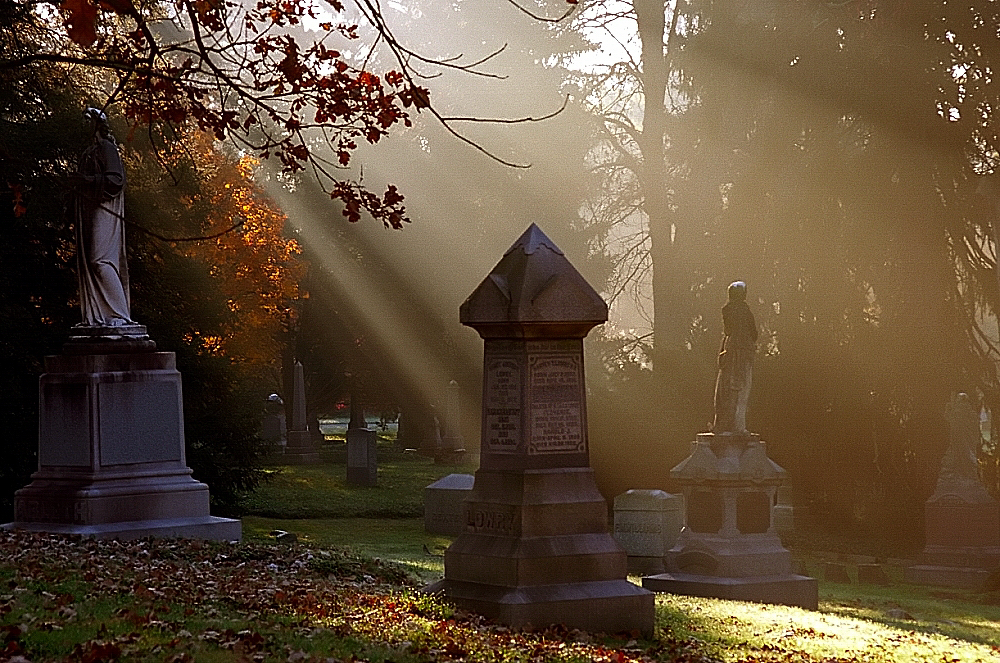 tod_friedhof_grabsteine_sonnenlicht_graveyard_gravestones_tombstones_headstone_cemetry_sunlight_unwiederbringlichkeit_kritisches_netzwerk_mortalitaet_sterblichkeit_lebensrhythmus_death.jpg