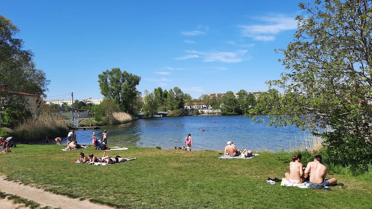 Wien-Alte-Donau-Altarm-Seitenarm-Floridsdorfer-Kagraner-Bruecke-Donaustadtbruecke-Wasserpark-Kritisches-Netzwerk-Erholungsparadies-Otto-Rapp-Donauzugaenge